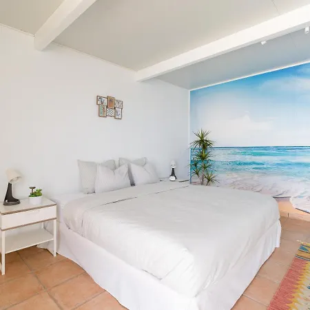 Penthouse Mit Privater Dachterrasse Appartement